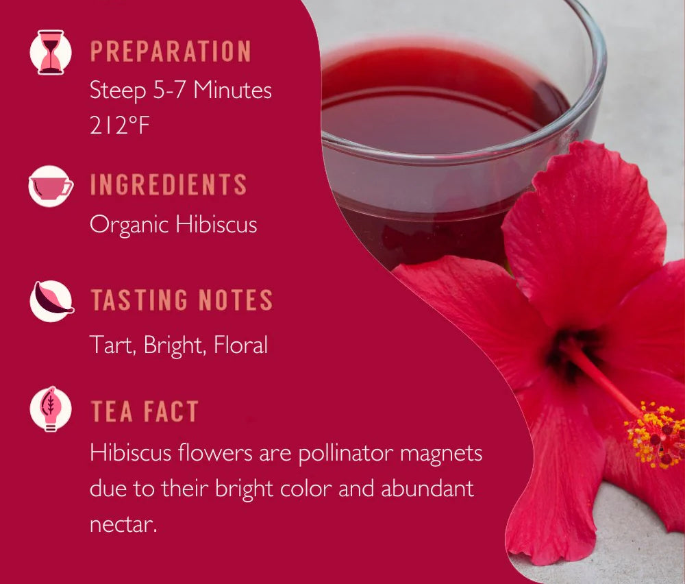 Hibiscus Tisane - Loose Leaf Tisane image 2